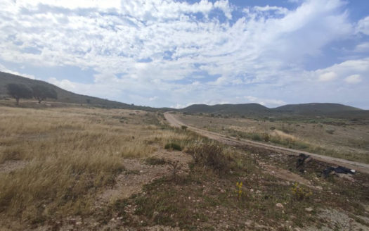 Venta de Finca Rústica en Fernán Pérez