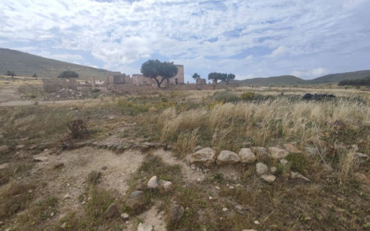 Venta de Finca Rústica en Fernán Pérez