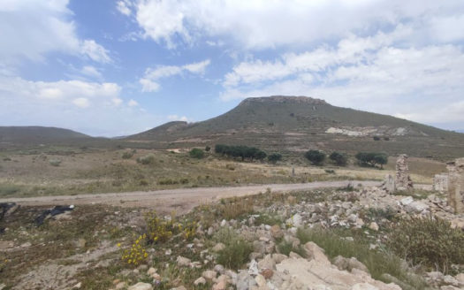 Venta de Finca Rústica en Fernán Pérez