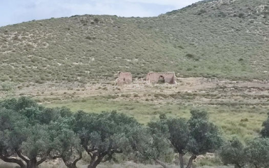 Venta de Finca Rústica en Fernán Pérez
