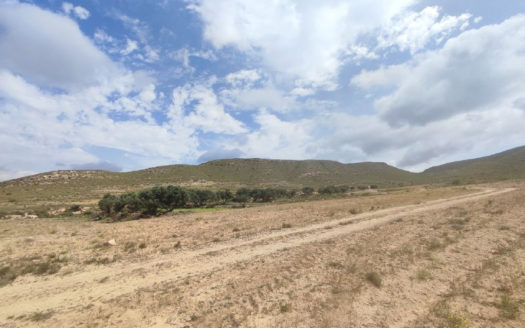 Venta de Finca Rústica en Fernán Pérez