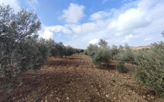 Venta de Finca en Fernán Pérez: Un Paraíso en tus Manos