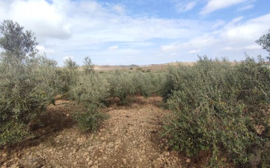 Venta de Finca en Fernán Pérez: Un Paraíso en tus Manos