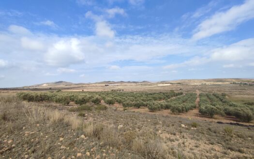 Venta de Finca en Fernán Pérez: Un Paraíso en tus Manos