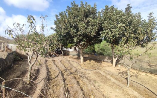 Venta de Finca en Fernán Pérez: Un Paraíso en tus Manos