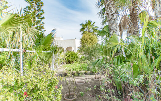 Venta de Casa Con Parcela en Torre del Campo.