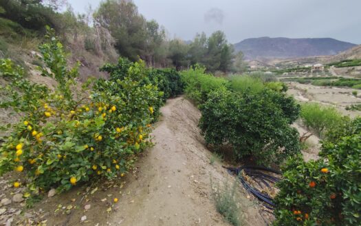 Venta de Cortijo Restaurado con Parcela en Terque