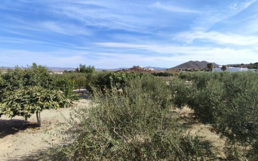 Venta de dos casas por una en Fernán Pérez con parcela en producción!